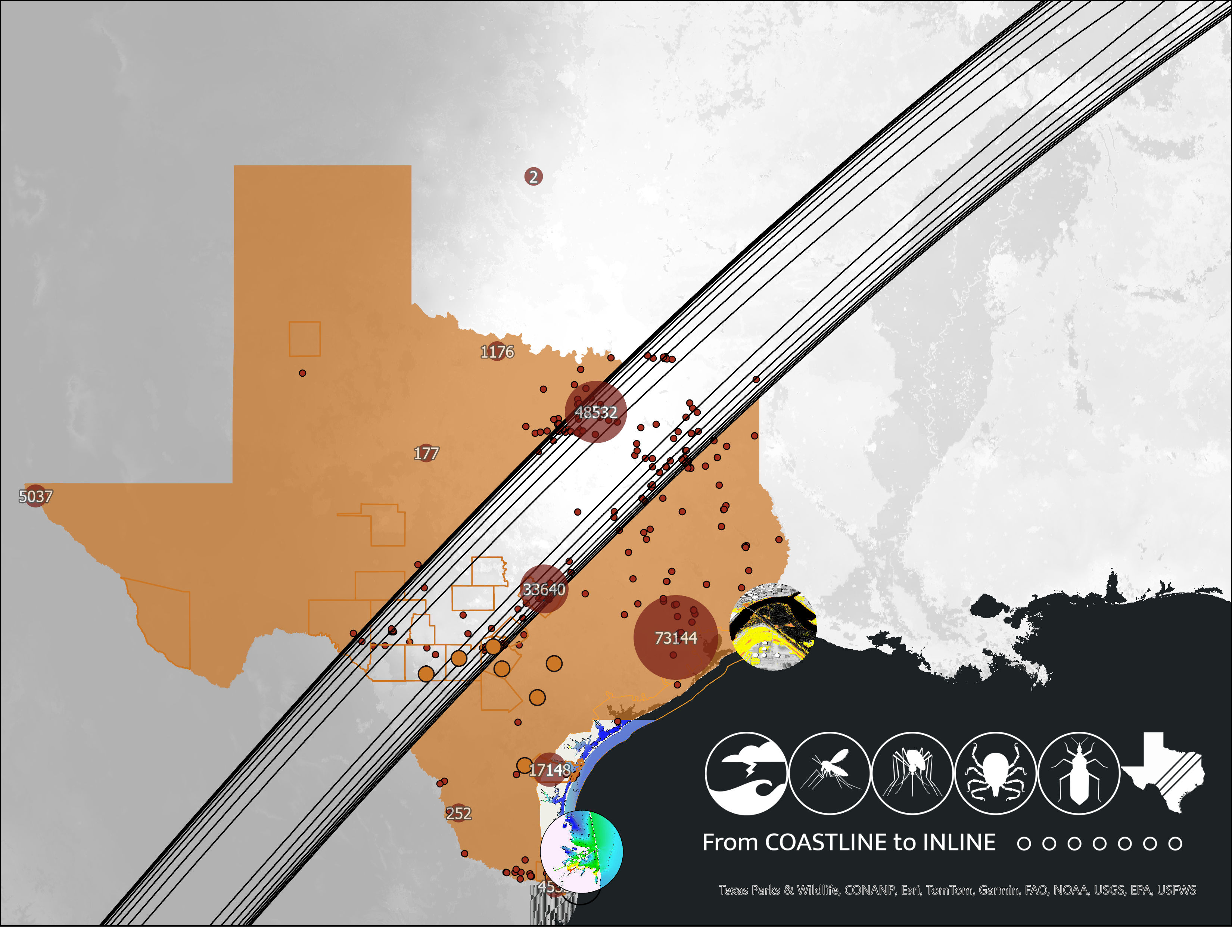 Project data provided by FloDisMod Team, Computational Hydraulics Group, Oden Institute, University of Texas at Austin, NOAA, and TINRIS. Credit: Data visualization compilation, Madison Russ